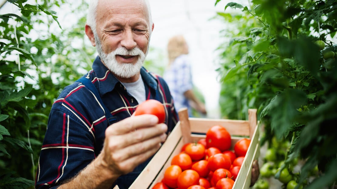 Ausgewogene Ernährung